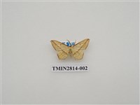 藏品(尺蛾443)的圖片